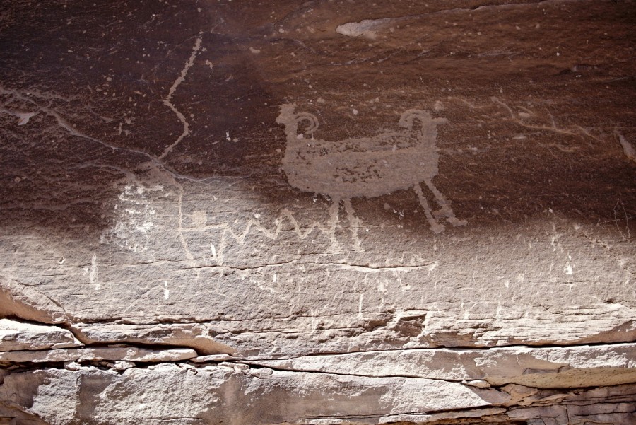petroglyph two headed sheep P1010130